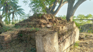 মালেকা বানু চৌধুরীর স্মৃতিবিজড়িত ঐতিহাসিক মালেকা বানু মসজিদ সংলগ্ন মালেকা বানুর কবরস্থান।